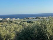 Koutsouras Kreta, Koutsouras: Tolles Baugrundstück in Meeresnähe zu verkaufen Grundstück kaufen